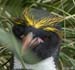 Antarctica_20080118_073610_898_2X