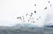 Antarctica_20080118_094630_156_2X