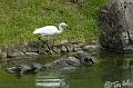Japan_20080422_204444_136_2X