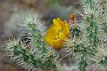 Canyonlands_20080524_213842_583_20