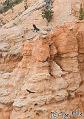 Canyonlands_20080526_175804_085_2X