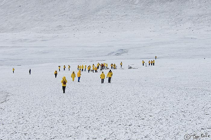 ArcticQ_20080827_093724_515_2X.jpg - Quark gives passengers yellow parkas, which are both handy for keeping warm and dry and making it easy to pick out passengers straying too far.  Beechy Island, Nunavut, Canada.