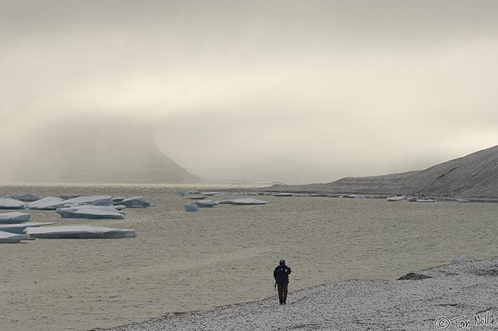 ArcticQ_20080827_095744_535_2X.jpg - The light in the polar regions is both variable and often striking, with periods of clear blue sky alternating with a sea fog that transforms everything into an eerie twilight.  Beechy Island, Nunavut, Canada.