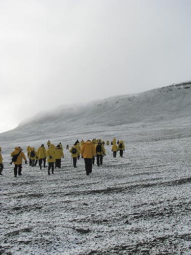 ArcticQ_20080827_101414_507_S.jpg - We start hiking from the grave site toward the western end of the island, where the main Franklin camp had been located.  Beechy Island, Nunavut, Canada.