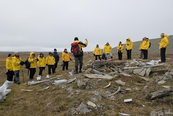 ArcticQ_20080827_161124_684_20.jpg - A group of passengers listens to a lecture on the Thule site.  This group of early Arctic people inhabited the area perhaps 700 years ago.  Radstock Bay, Devon Island, Nunavut, Canada.