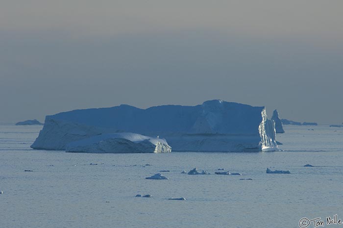 ArcticQ_20080829_191930_410_2X.jpg - The low sun glints off icebergs near Cape York, Nunavut, Canada.