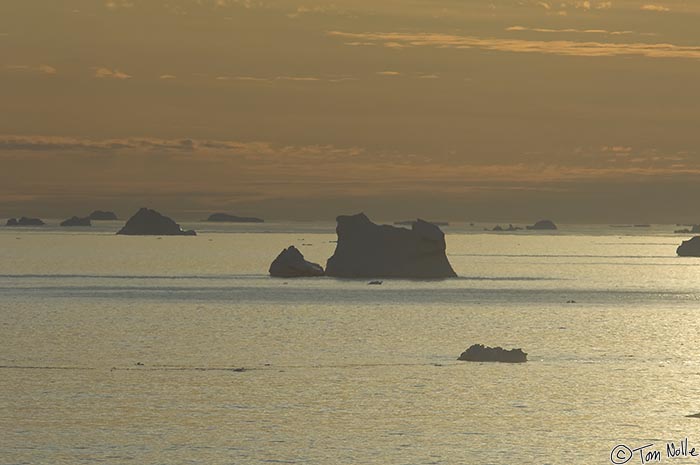 ArcticQ_20080829_191950_412_2X.jpg - Icebergs dot the sea near Cape York, Nunavut, Canada as the sun goes down.