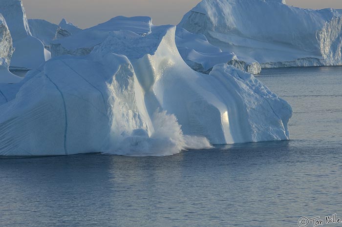 ArcticQ_20080829_193640_435_2X.jpg - A chunk falls off a large iceberg as the berg itself is lit by a setting sun.  Cape York, Nunavut, Canada.