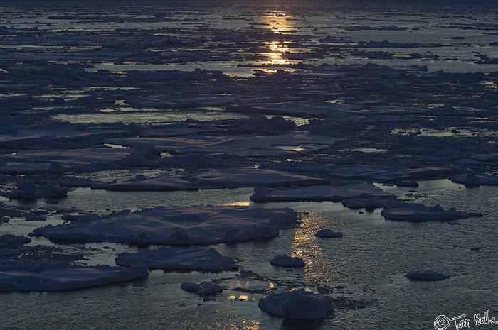 ArcticQ_20080831_213708_542_2X.jpg - As night falls, the Kapitan Khlebnikov enters the pack ice in Nares Strait betwen Ellesmere Island and Greenland.