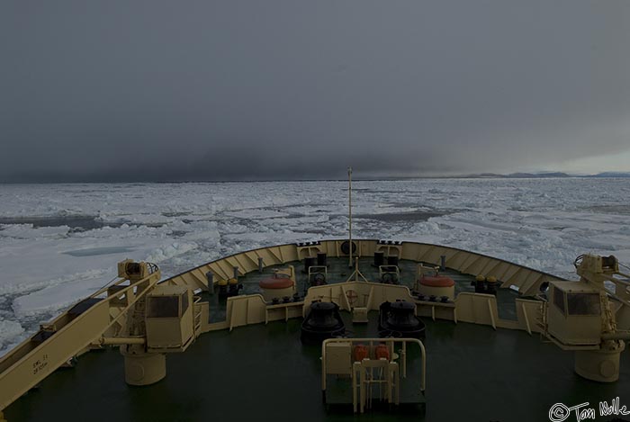 ArcticQ_20080901_064926_254_20.jpg - We are greeted by a dawn obscured by sea fog over the pack ice as we head north through the Nares Strait betwen Ellesmere Island and Greenland trying to reach the Lincoln Sea.