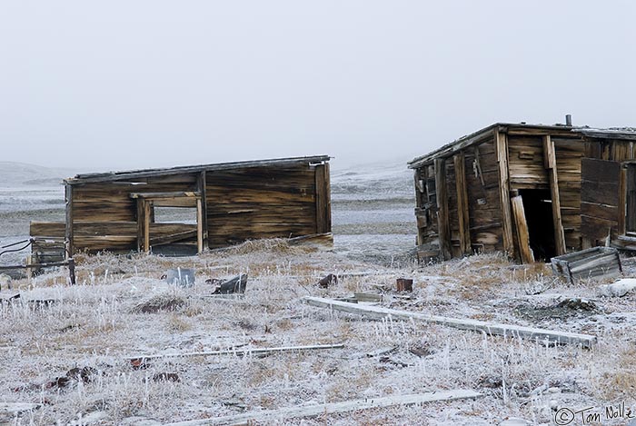 ArcticQ_20080901_101824_353_20.jpg - When Peary and Hensen occupied this area on their 1900 expedition, they tore down the Greeley longhouse to reuse the wood to build these structures.  Fort Conger, Ellesmere Island, Canada.