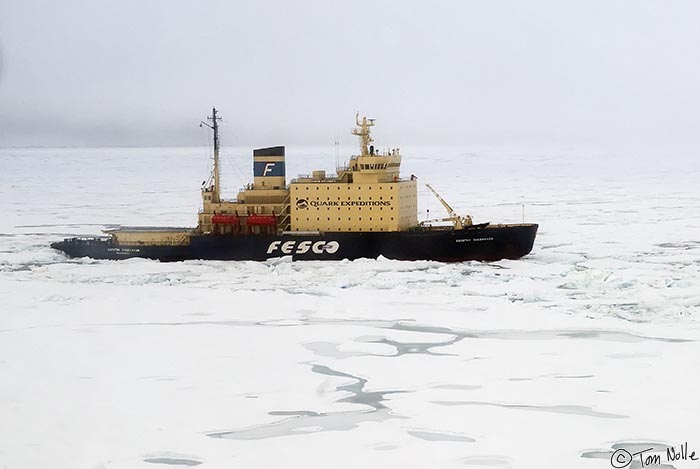 ArcticQ_20080901_104416_428_20.jpg - As the helicopter approaches the Kapitan Klebnikov we have a nice view of an icebreaker in its natural element--ice.  Off Fort Conger, Ellesmere Island, Canada.
