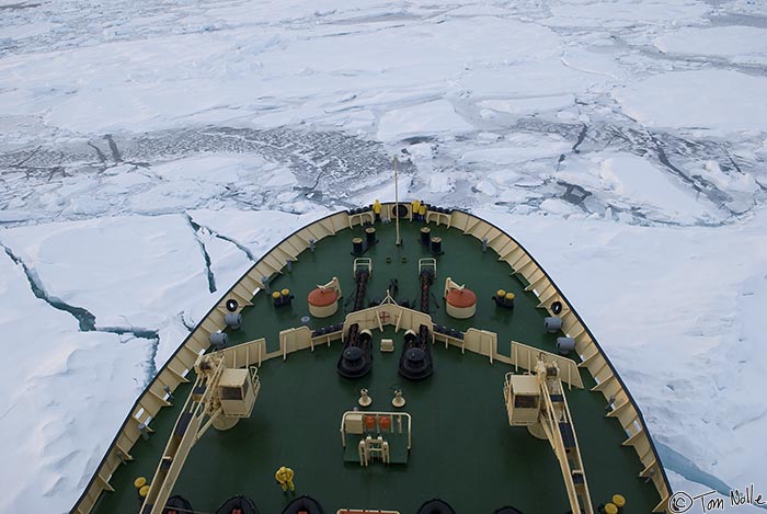 ArcticQ_20080901_203248_604_20.jpg - Still heading north in heavier pack ice, the Kapitan Klebnikov fights through the Kennedy Channel between Ellesmere Island and northwest Greenland.