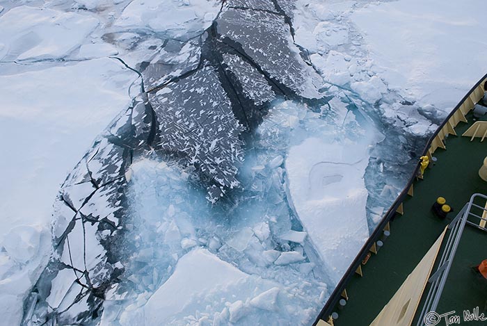 ArcticQ_20080901_203740_610_20.jpg - The ice has spots three meters thick as we continue to fight our way north in the Kennedy Channel between Ellesmere Island and northwest Greenland.