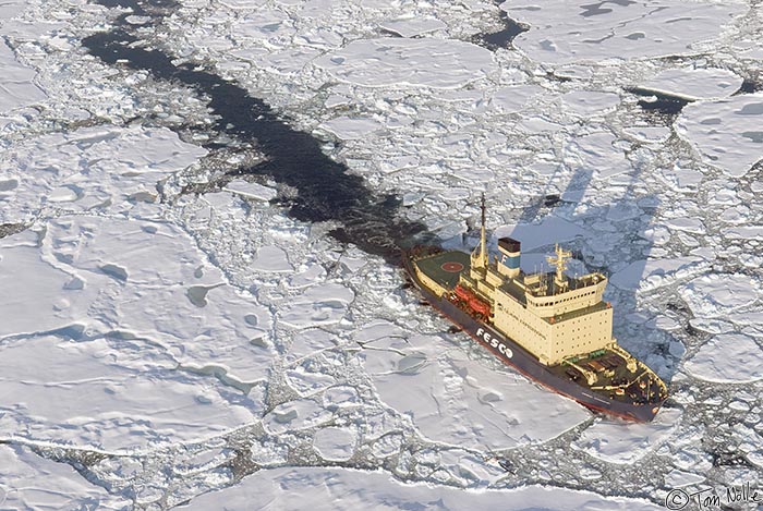 ArcticQ_20080902_165624_831_20.jpg - The Kapitan Klebnikov leaves a trail through pack ice in Baffin Bay between Greenland and Ellesmere Island.