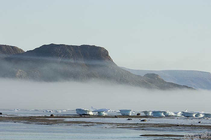ArcticQ_20080903_084202_930_2X.jpg - Small stranded icebergs look like tables as they rest trapped at low tide on the sloping beach of Alexander Bay, Bache Peninsula Ellesmere Island, Nunavut, Canada.