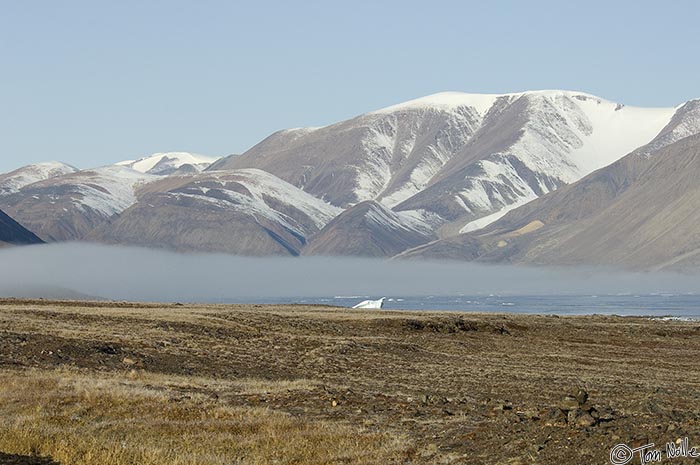 ArcticQ_20080903_085652_934_2X.jpg - A patch of sea fog lingers over the narrow end of Alexander Bay, Bache Peninsula Ellesmere Island, Nunavut, Canada.