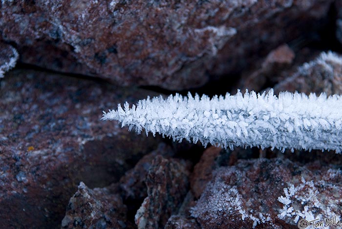 ArcticQ_20080903_173122_145_20.jpg - A spear of wood is covered in ice blossoms because this area is largely shaded.  Pim Island, Nunavut, Canada.