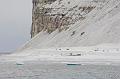 ArcticQ_20080827_071512_479_2X