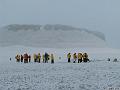 ArcticQ_20080827_092616_503_S