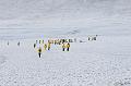 ArcticQ_20080827_093724_515_2X