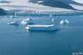 ArcticQ_20080829_155028_894_20