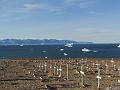 ArcticQ_20080830_091618_534_S