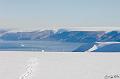 ArcticQ_20080830_154248_019_2X