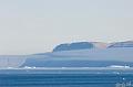 ArcticQ_20080831_135652_359_2X