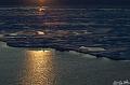 ArcticQ_20080831_212440_535_2X