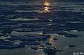 ArcticQ_20080831_213708_542_2X