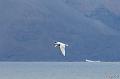 ArcticQ_20080907_151644_057_2X