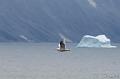 ArcticQ_20080907_151702_066_2X