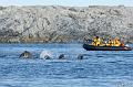 ArcticQ_20080909_102508_358_2X