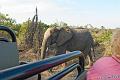 Africa_20081102_111858_291_20