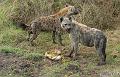 Africa_20081103_023422_311_20