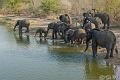 Africa_20081103_105324_373_20