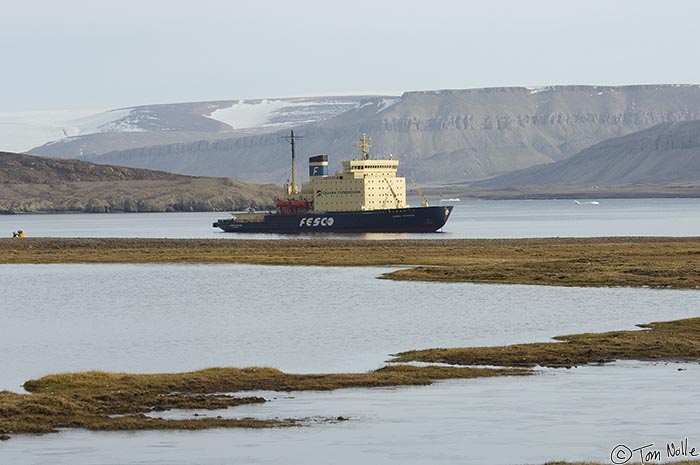 ArcticQ_20080828_084030_874_2X.jpg - The Kapitan Klebnikov rides at anchor in Dundas Harbor, Devon Island, Nunavut, Canada.